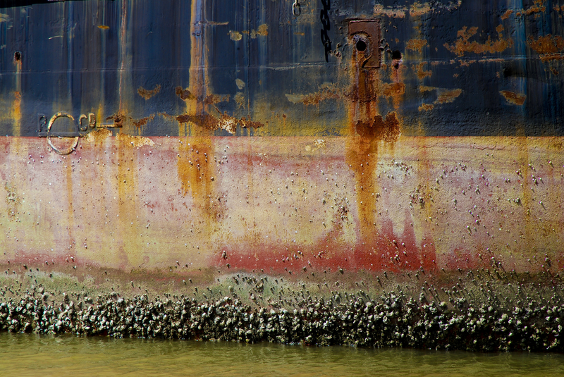Illustration for article titled The Navy's Huge, Hidden Problem: Barnacles on Ships